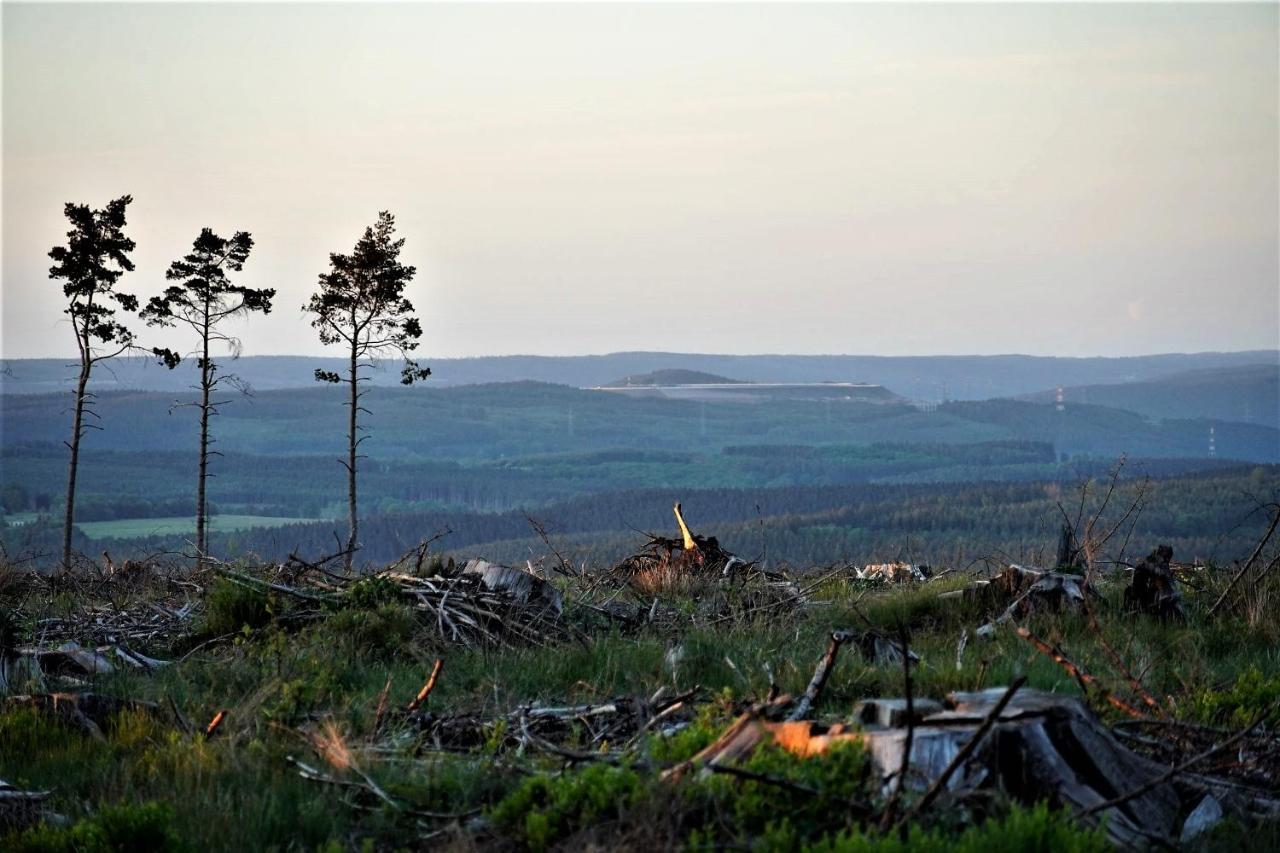 "Petite Perle En Haute Ardenne" Avec Vue Sur La Vallee, Cabine Infra-Rouge Et Bain Balneo Lierneux Екстериор снимка